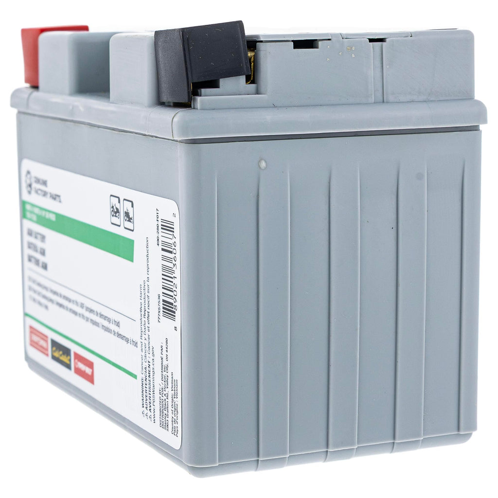 CUB CADET 490-280-F017 Battery 210CCA for Ultima Models