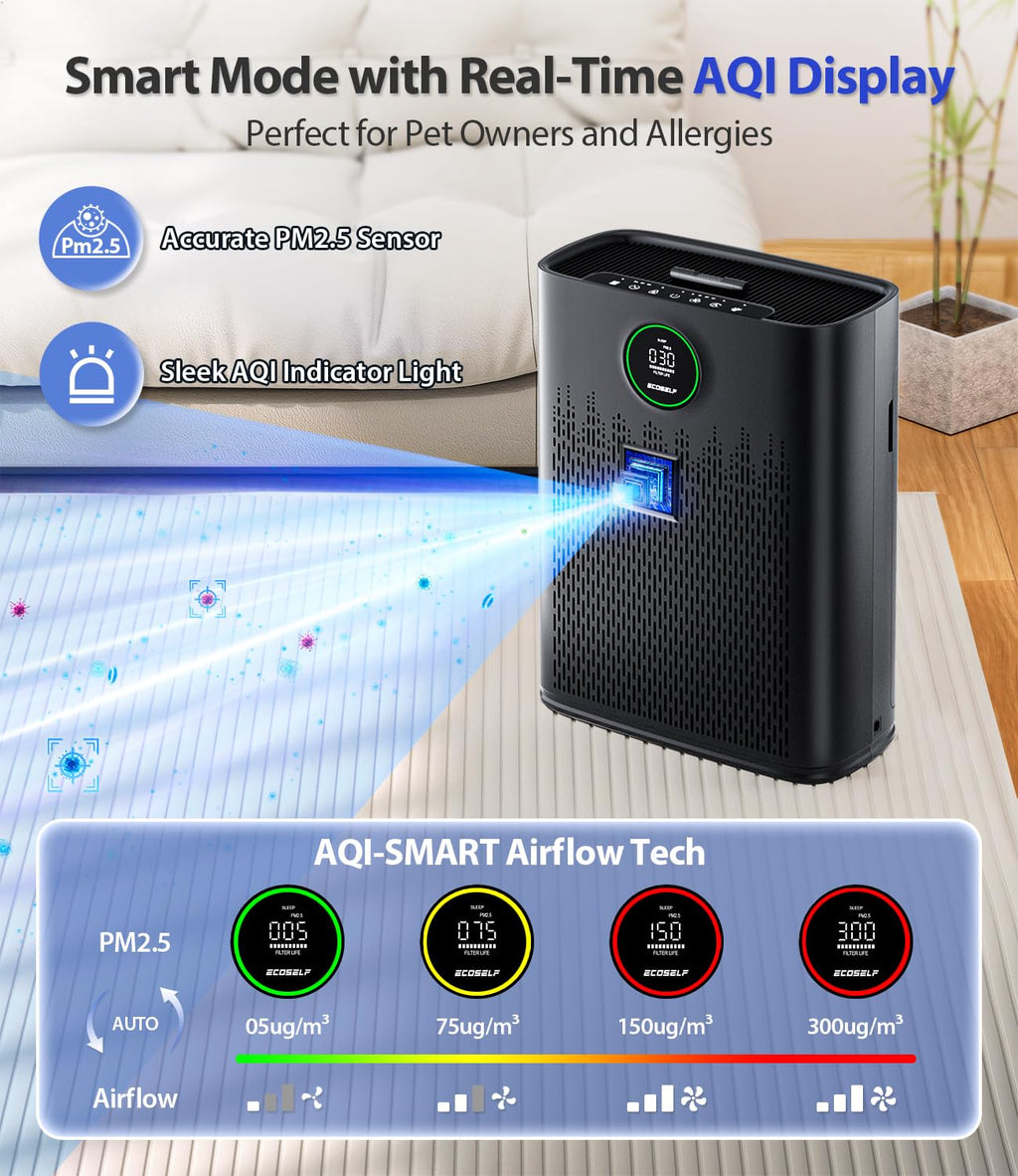 ECOSELF HAP603 Air Purifier for Large Rooms | HEPA Filter