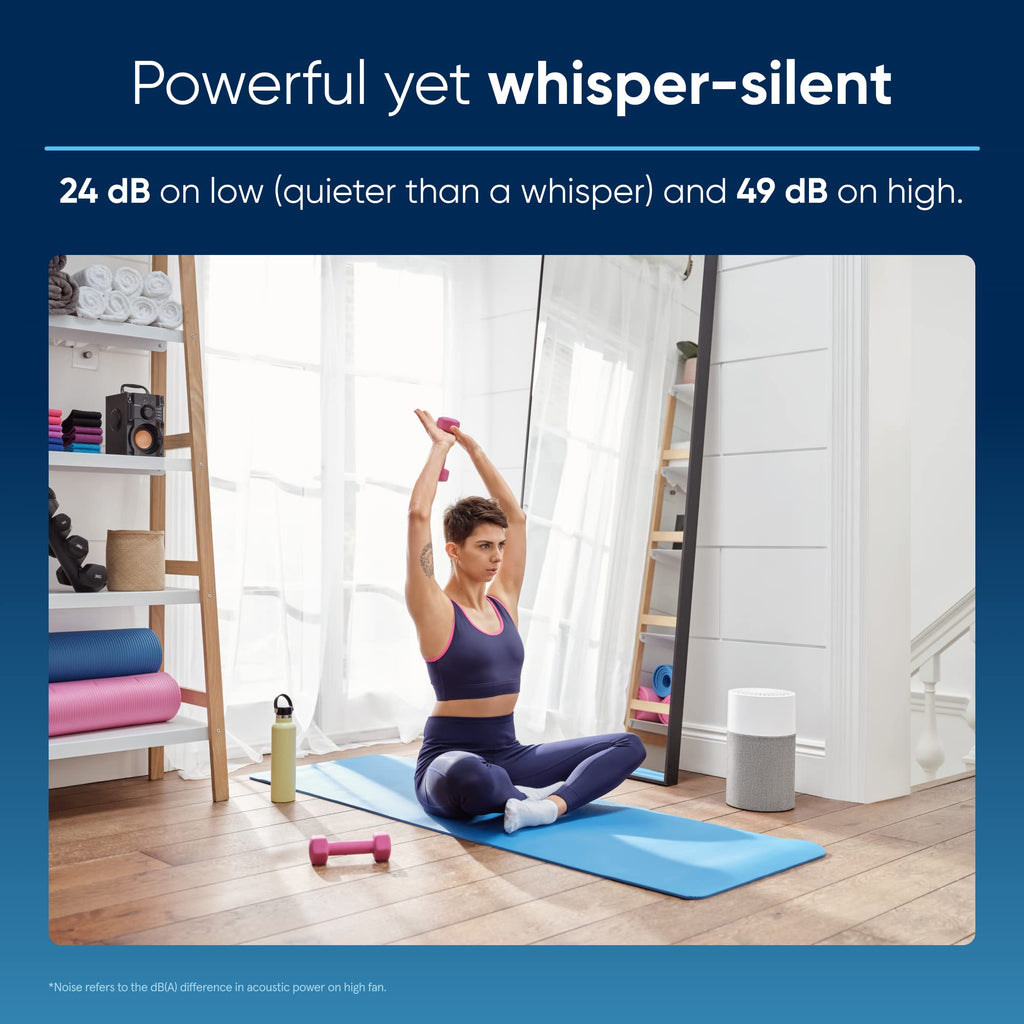 BLUEAIR Blue Pure 511 Air Purifier for Small Rooms and Allergies