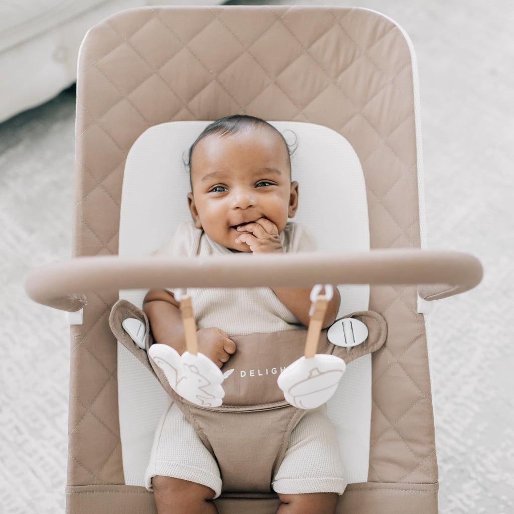 BABY DELIGHT Alpine Deluxe Baby Bouncer | 0-6 Months | Organic Cotton