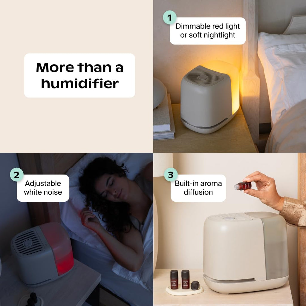 CANOPY Bedside Humidifier 2.0 - 36 HR Run Time, 2.5L Capacity
