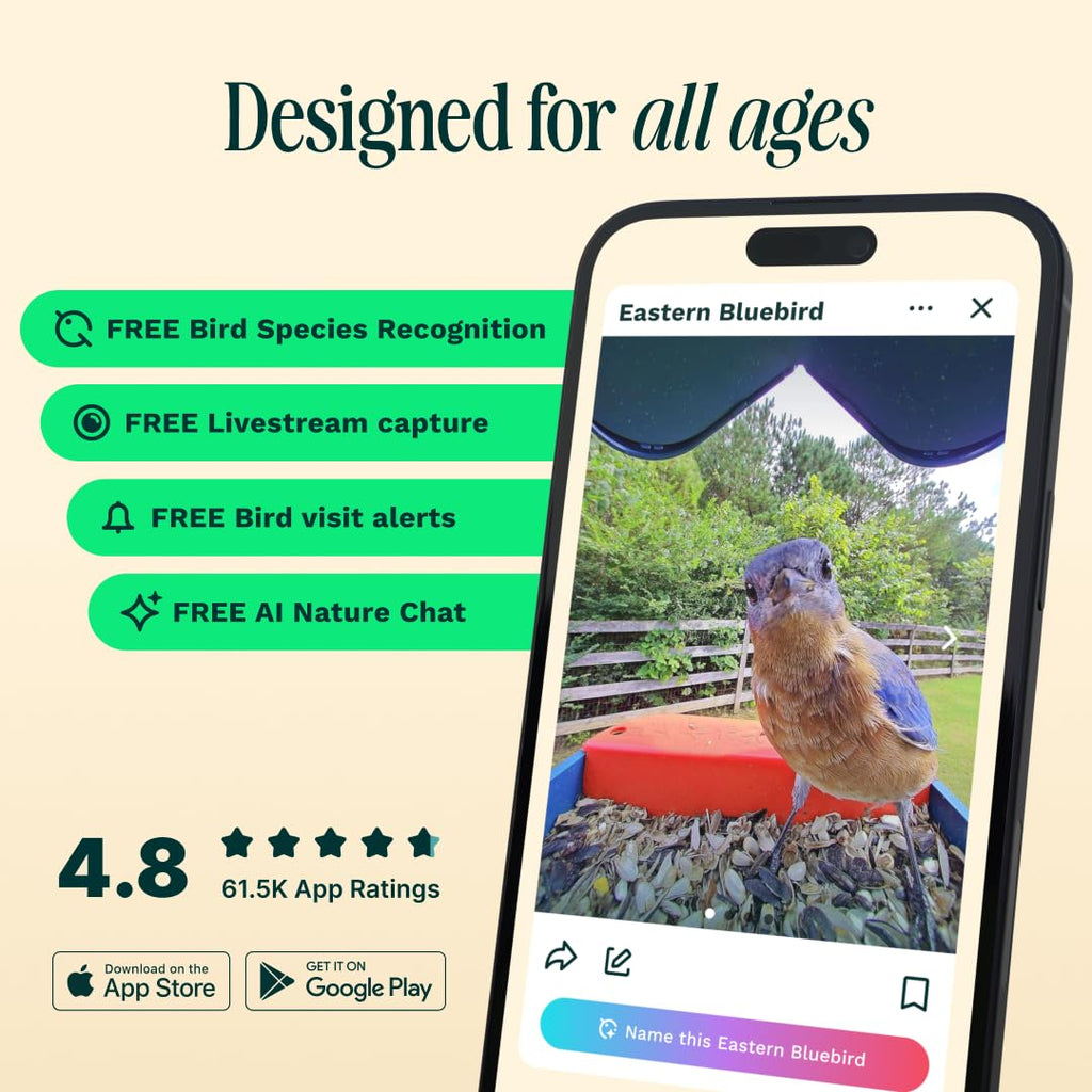 BIRD BUDDY Birdbuddy PRO Solar Smart Bird Feeder with Camera