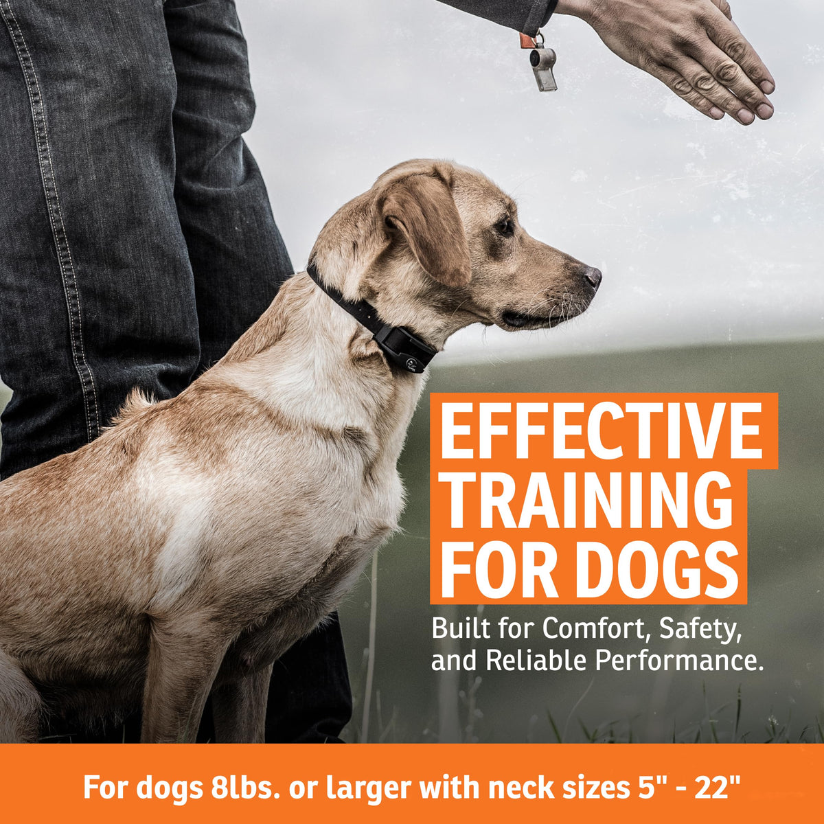 SPORTDOG FieldTrainer 425X Remote Dog Training Collar - 500 Yards