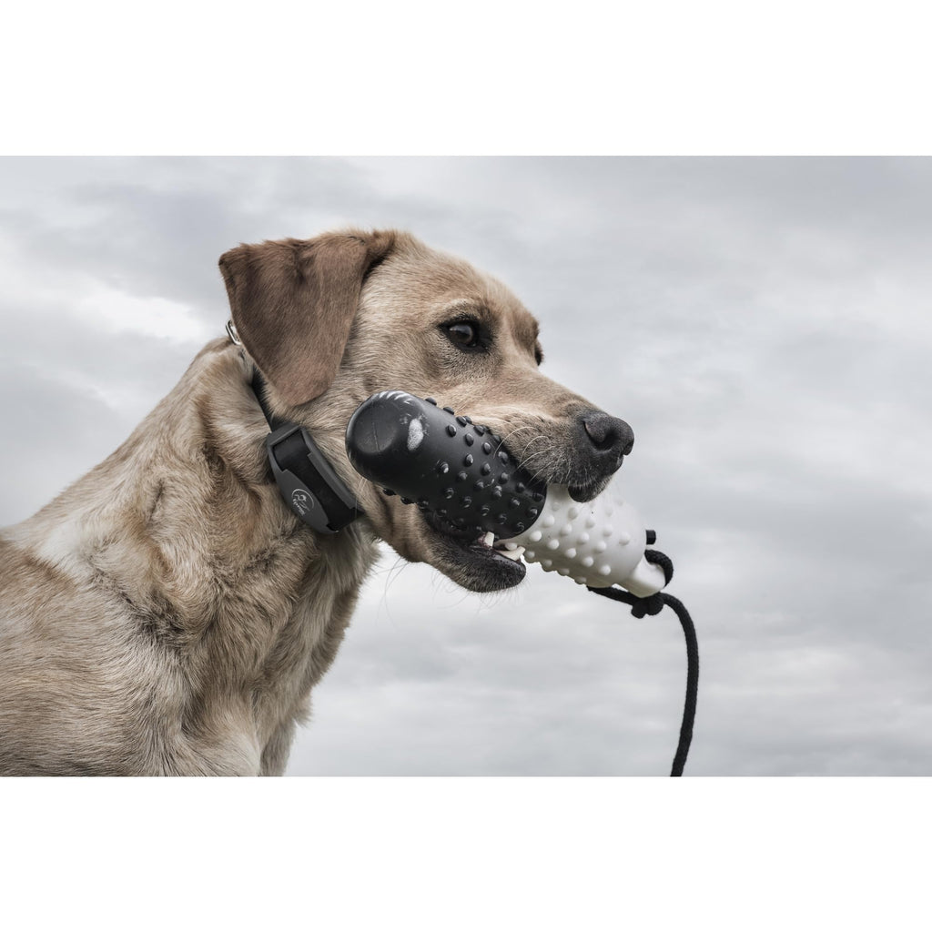 SPORTDOG FieldTrainer 425X Remote Dog Training Collar - 500 Yards