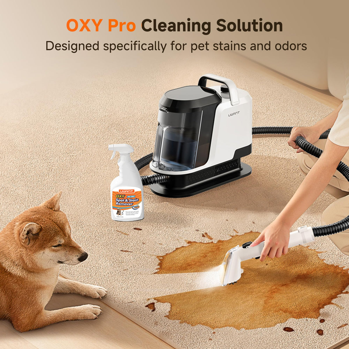 UWANT Portable Carpet Cleaner Machine for Cars & Pets