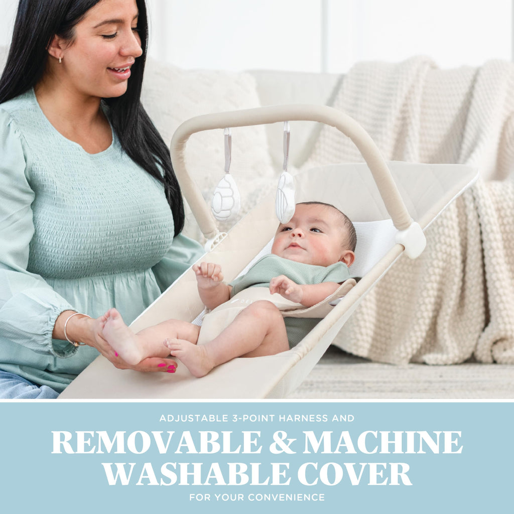 BABY DELIGHT Alpine Deluxe Portable Bouncer for Infants, Organic