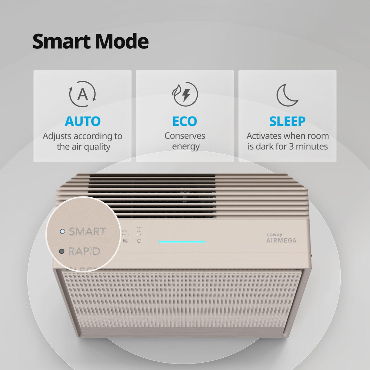 COWAY Airmega 250 Air Purifier for Large Rooms up to 1,860 ft²
