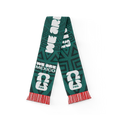 FIFA World Cup 2026™ 'We Are' Mexico Scarf